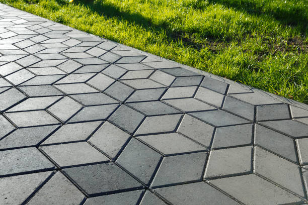 Best Driveway Paving Contractor  in River Forest, IL